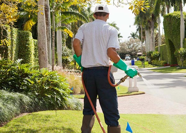 About Circle Pines MN Pest Control